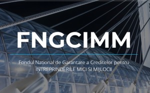 fngcimm-prima casa