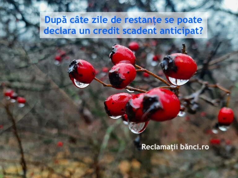 scadenta anticipata credit