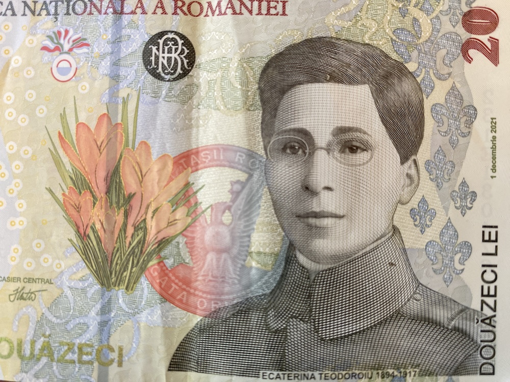 bancnota 20 lei ecaterina teodoroiu