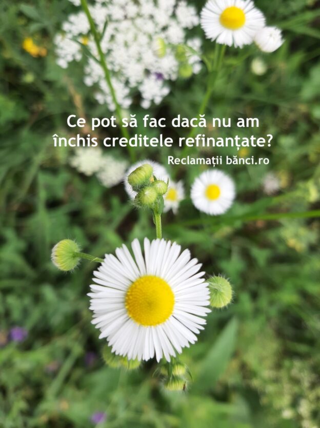 credite refinantate ifn