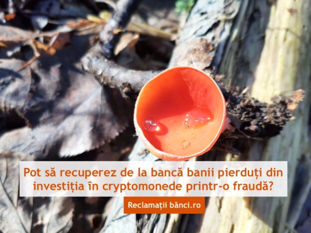 frauda crypto