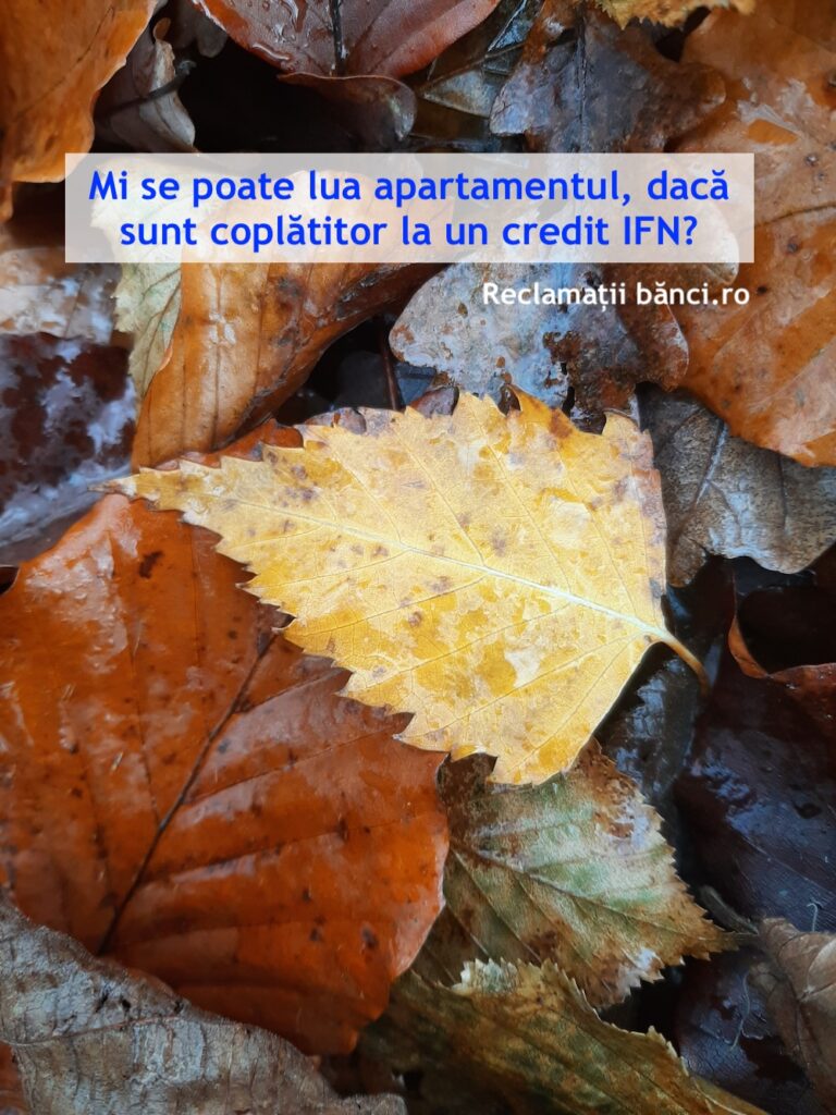 coplatitor executare silita