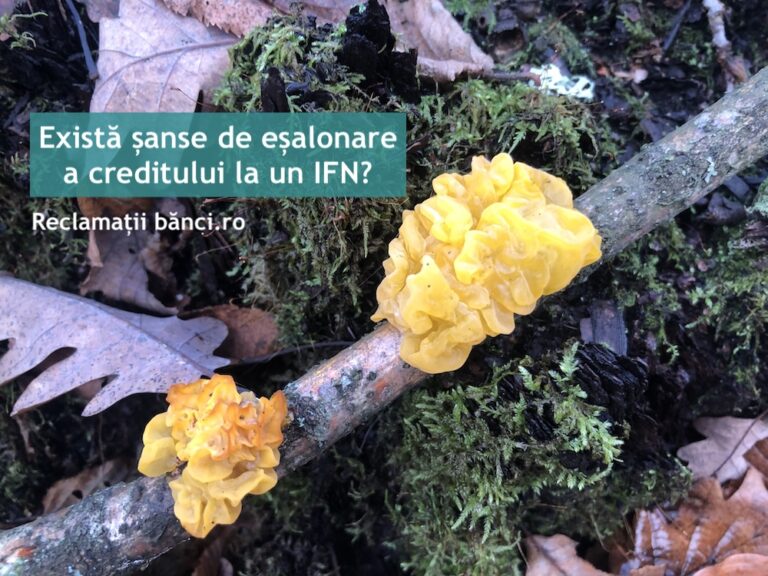 esalonare credit ifn