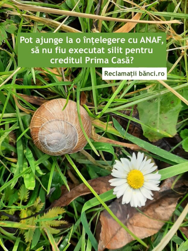 executare silita prima casa