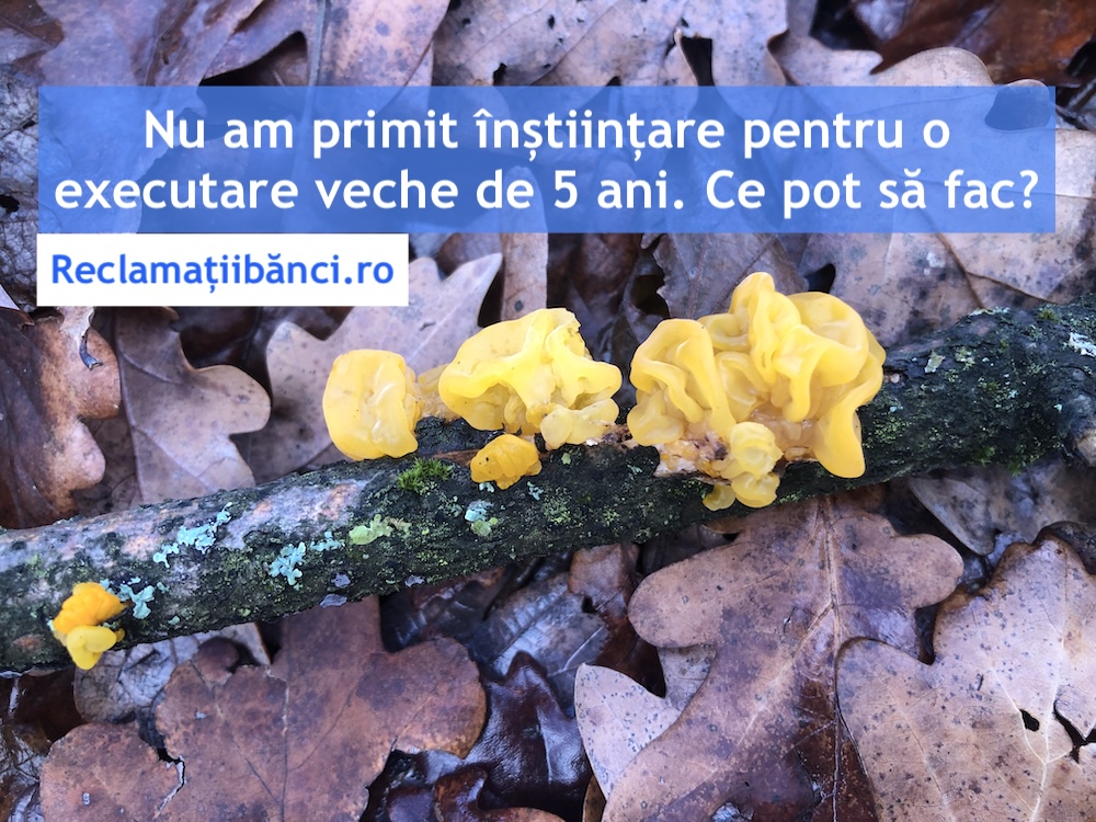 executare prescriptie
