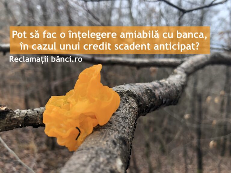 intelegere amiabila banca
