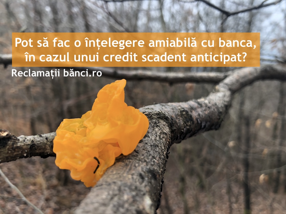 intelegere amiabila banca