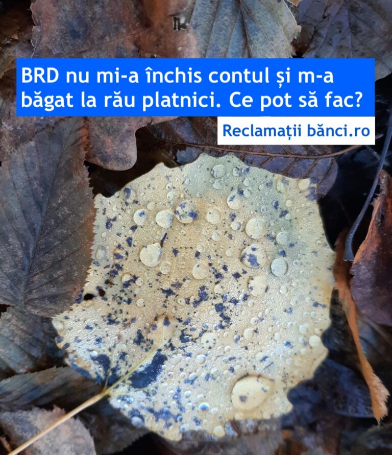 brd cont neinchis