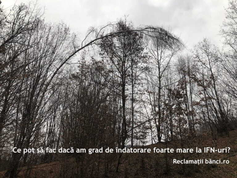 grad indatorare ifn