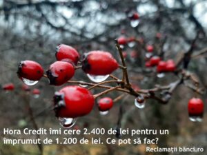 hora credit imprumut dobanda