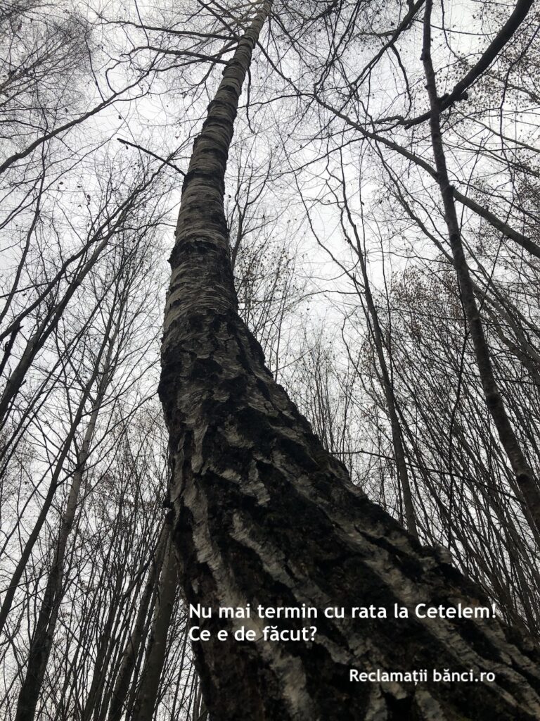 rata credit cetelem