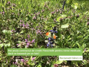 flexcredit credit medical