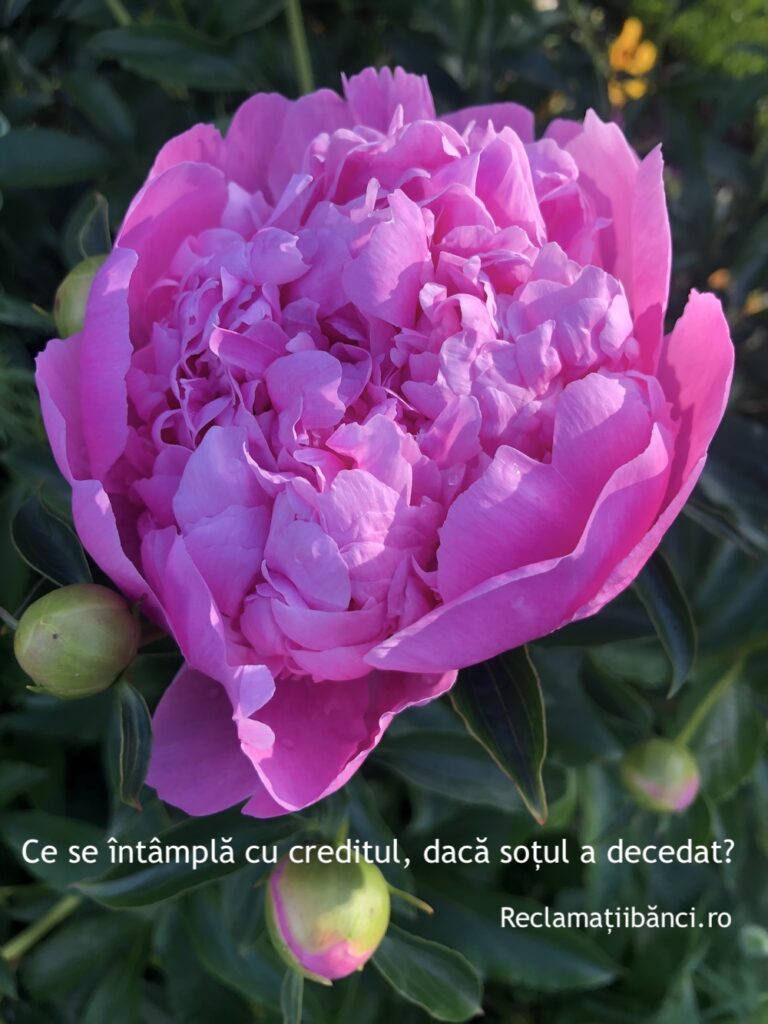 credit sot decedat banca
