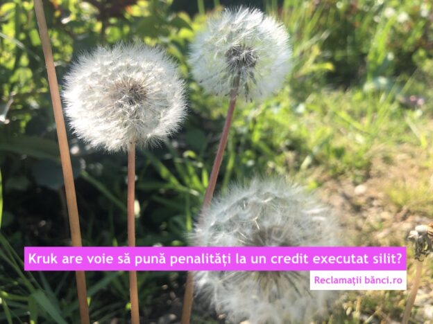 kruk dosar executare penalitati
