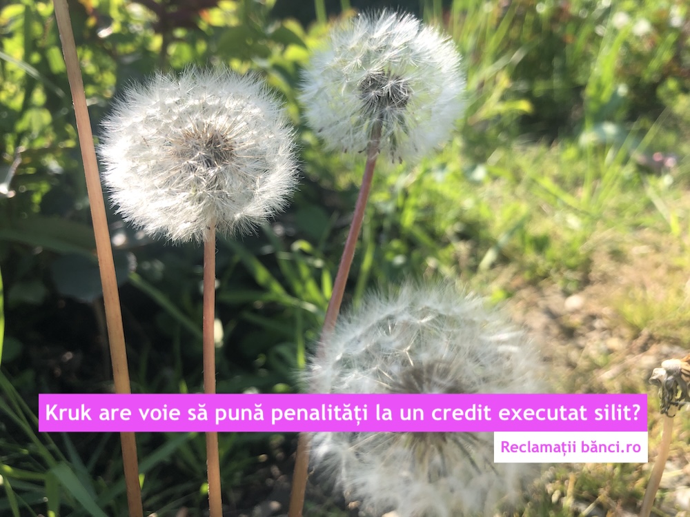 kruk dosar executare penalitati