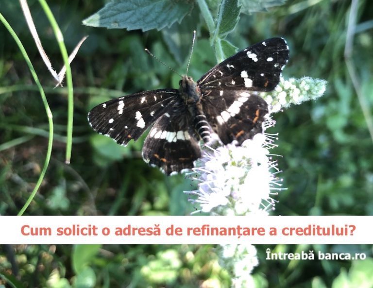 adresa refinantare credit