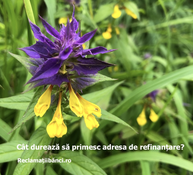 adresa refinantare durata