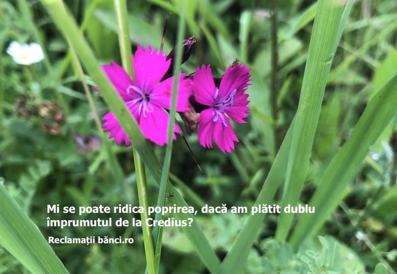 poprire imprumut credius
