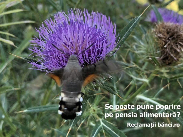 poprire pensie alimentara