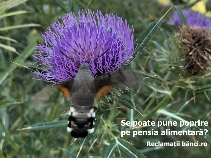 poprire pensie alimentara