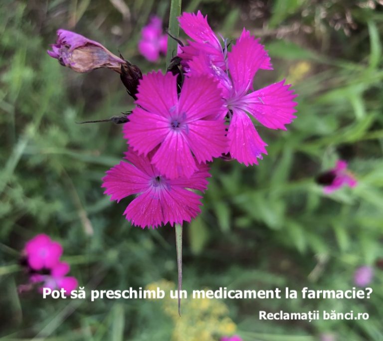 preschimbare medicament farmacie