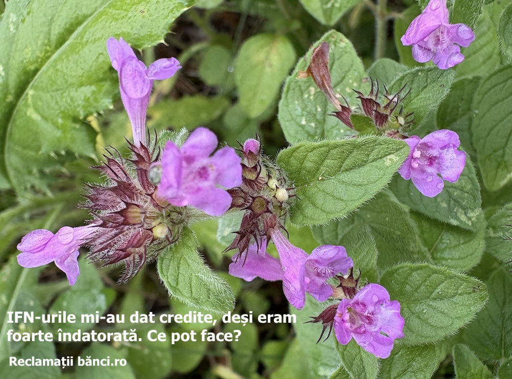 credite ifn indatorat